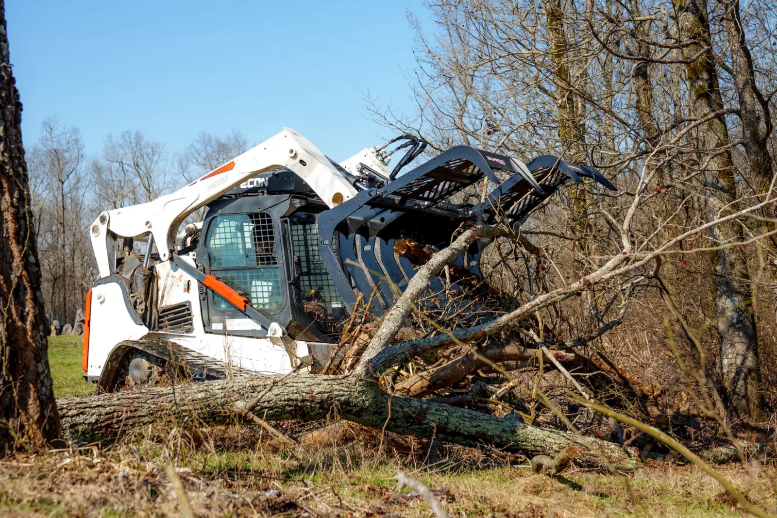Skid steer with root grapple lifting a downed tree from a brush pile