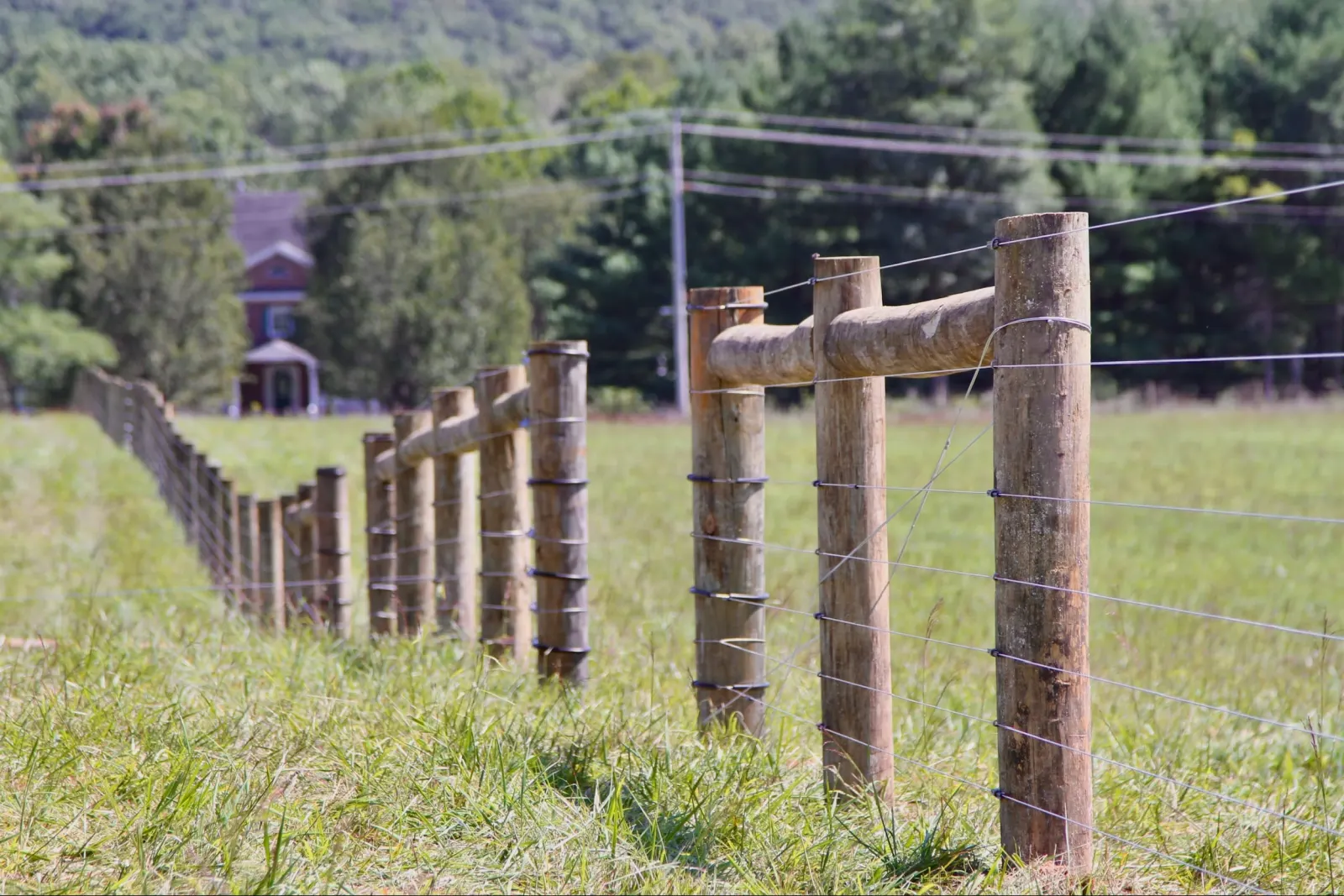 Cleared fence line with new wire fencing running along a green cattle pasture