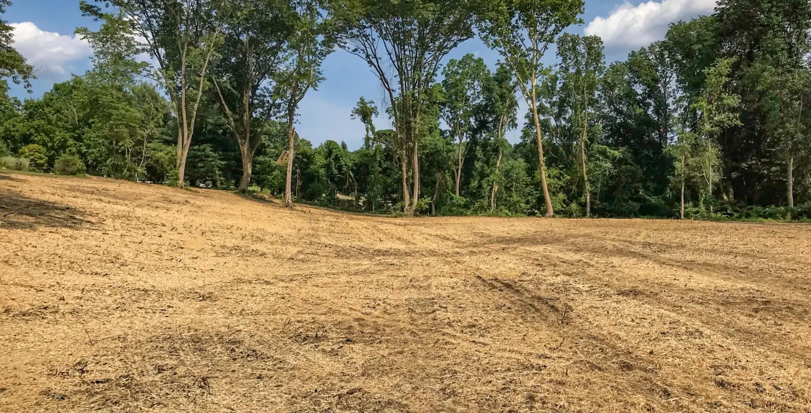 Cleared and graded homesite lot ready to build with mature trees left along edges