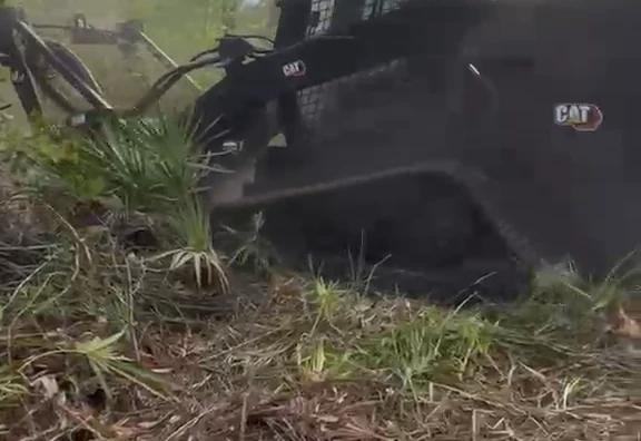 Our tracked skid steer working through saw palmetto, with freshly mulched ground in front of it