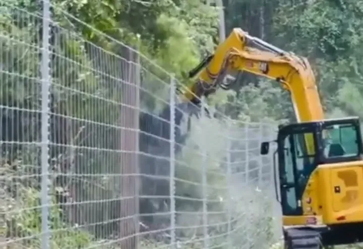 Our excavator reaching over a woven wire field fence to mulch the brush grown up along it