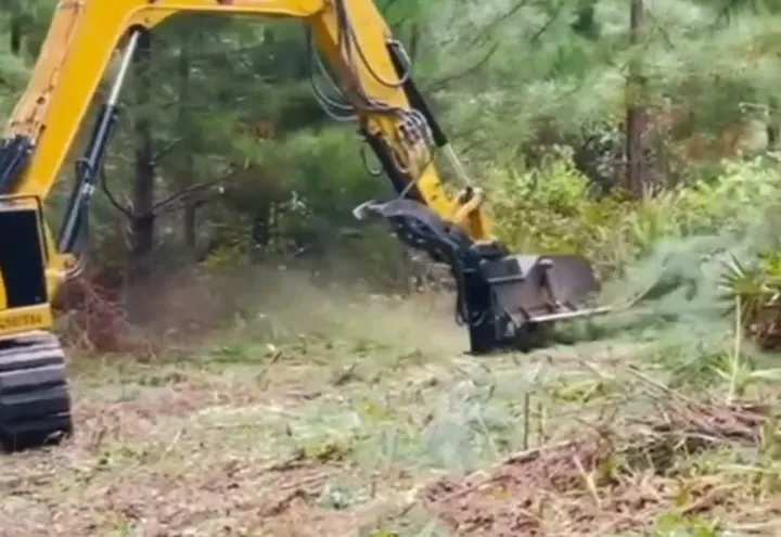 Our excavator mulching head grinding brush and saplings under young pines at the edge of an open field