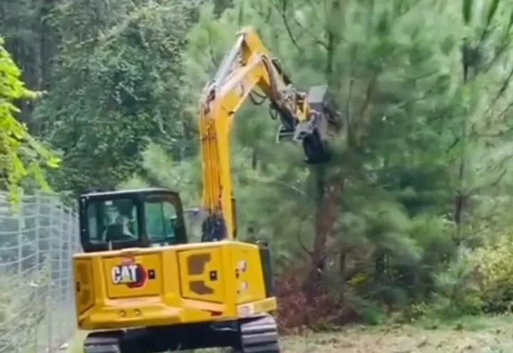 Our excavator clearing the brushy edge of a young pine stand beside a field fence