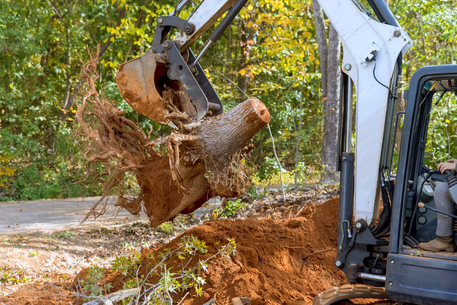 Stump Removal in Monticello, FL