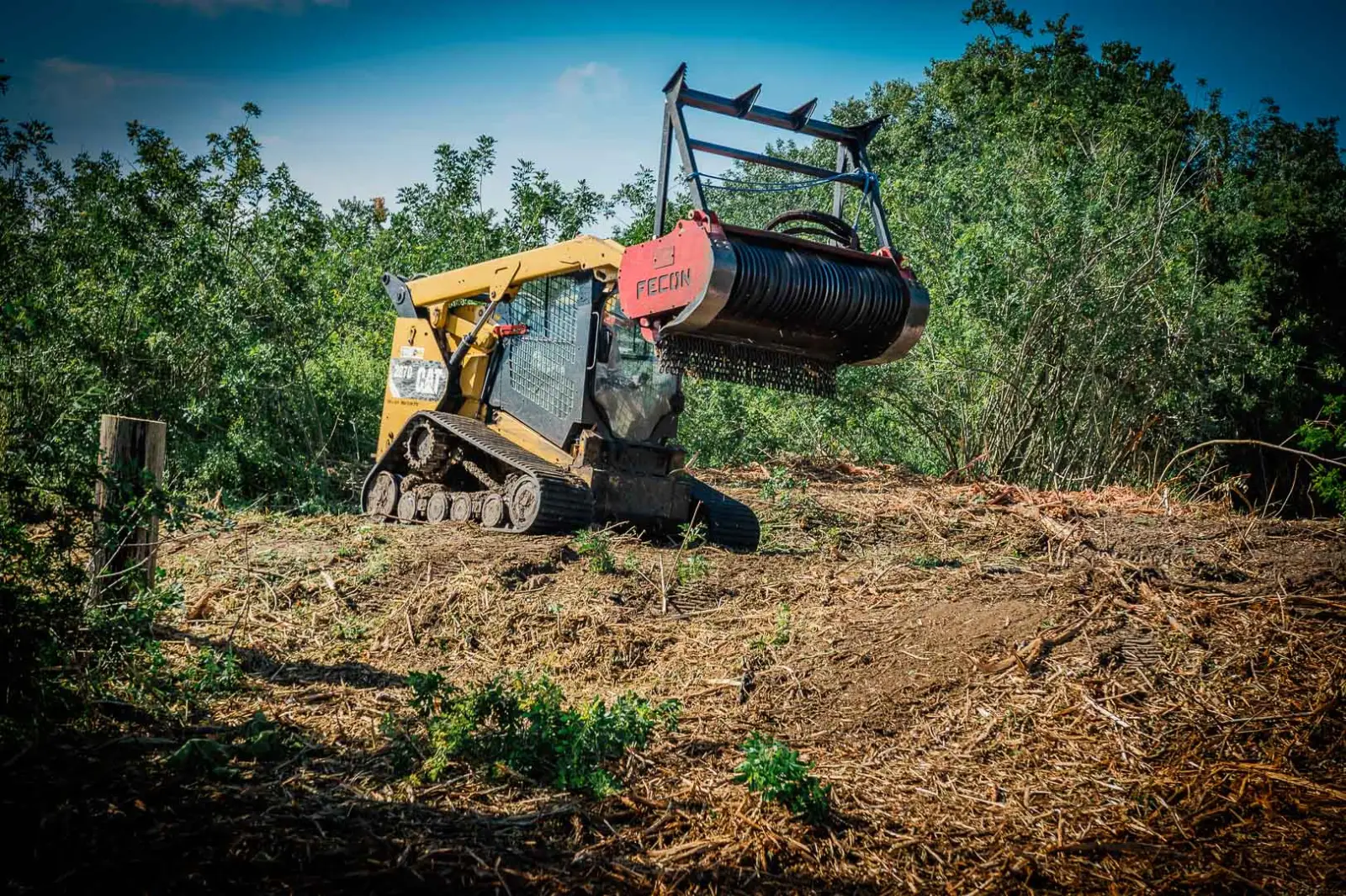 Skid steer forestry mulcher head raised while clearing thick underbrush under a blue sky