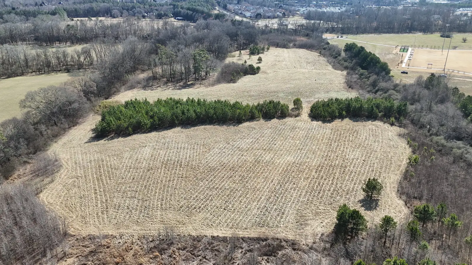 Pasture Clearing in Monticello, FL
