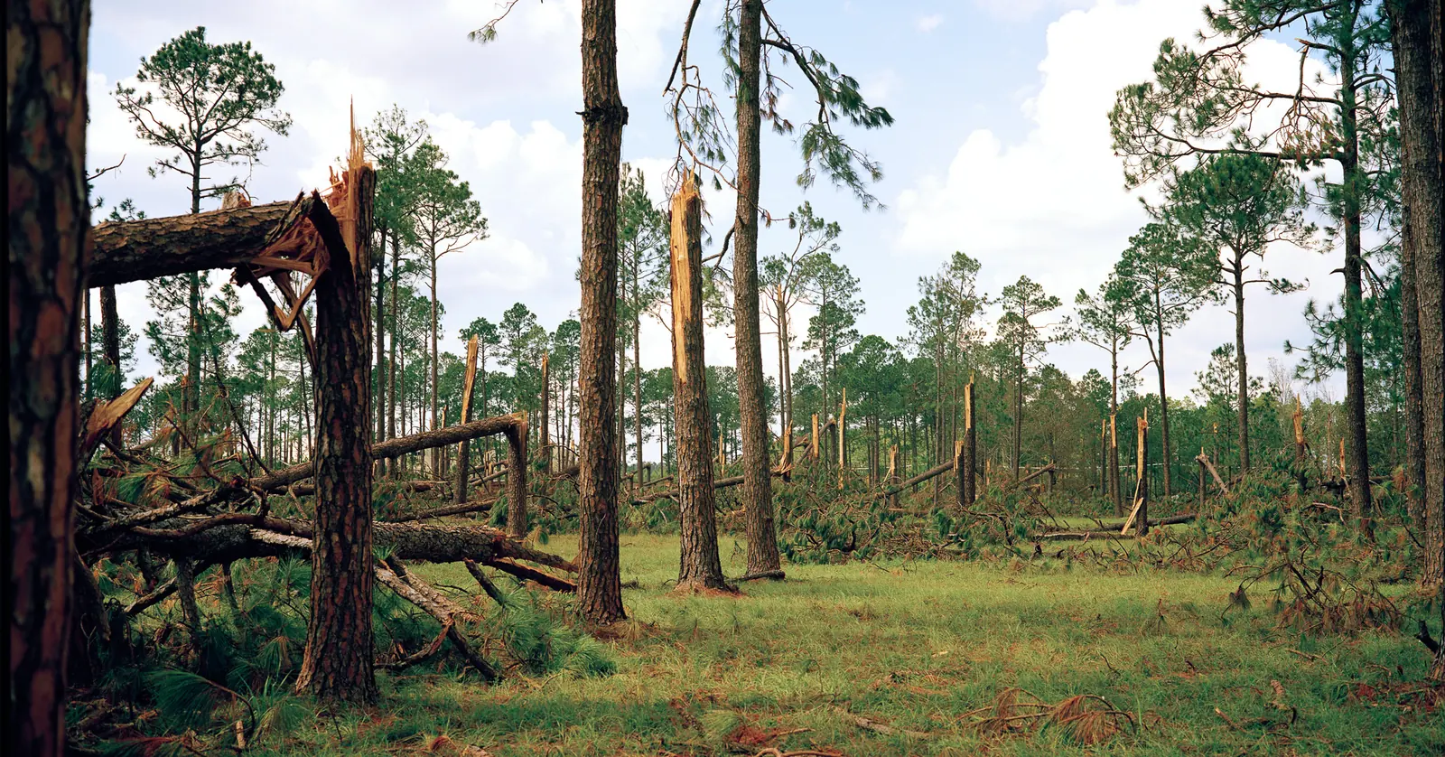 Storm Cleanup in Monticello, FL