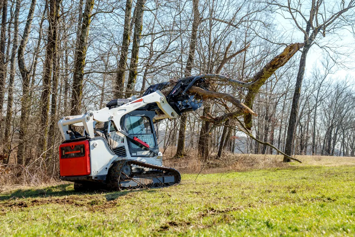 Skid steer with a grapple carrying a downed tree across a field edge